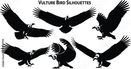 Canvastavla Vulture Bird Silhouettes Collection with Flying, Landing, and Perching Scavenger