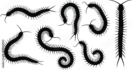Quadro su tela Centipede Silhouettes Collection with Creepy Crawling Insect Shapes Vector Illus