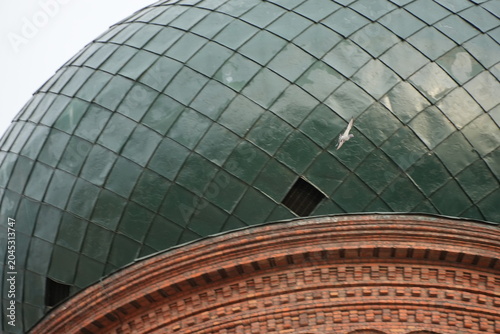 Photography Saint Sophia Cathedral in Harbin  with a bird