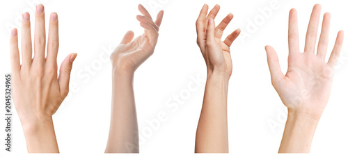 Tableau sur toile various human hands with open palms, gesturing to offer, receive, or display, on a clean background