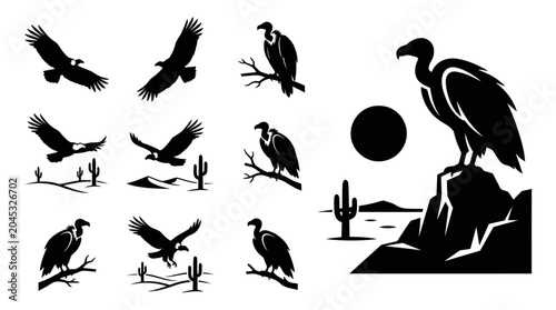 Quadro su tela Vulture Silhouette Collection: Desert Wildlife, Birds of Prey, and Scenery