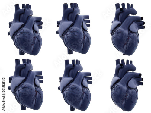 Isometric human heart illustration with medical icons isolated transparent background Png.