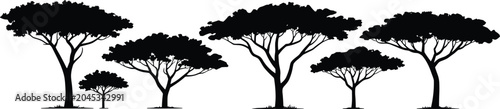 Foto Silhouette Collection of Various African Acacia Trees on White Background savann