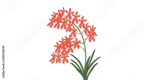 Bild auf Leinwand Vibrant Red Flowering Plant Closeup.