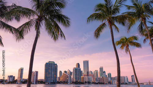 Miami Skyline at Sunset with Palm Trees and Pink Sky