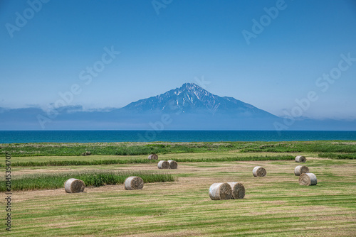 Tableau sur toile Pastoral Landscape with Hay Rolls and Mount Rishiri, Hokkaido