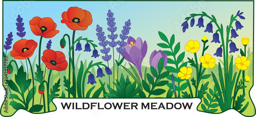 Blue Wildflower Meadow Landscape Vector Illustration
