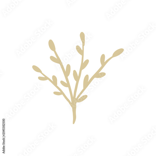 floral graphic design vector illustration