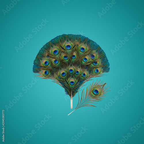 Close-up of colorful peacock feathers on blue background