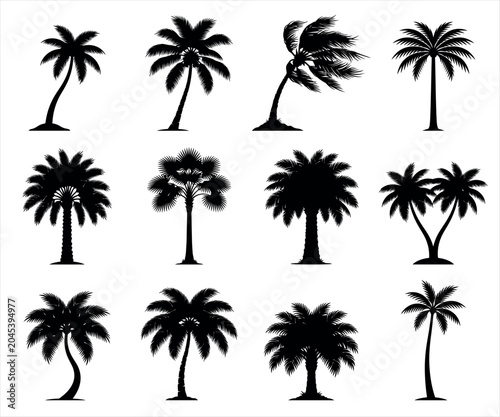 Set of black palm tree silhouettes in various shapes and sizes with silhouette