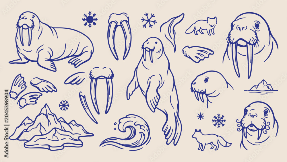 Fototapeta premium Walrus arctic ocean pattern, northern marine sketch, minimal animal illustration, clean wildlife art, modern nature design, isolated walrus vector, premium ocean background, organic design print walru