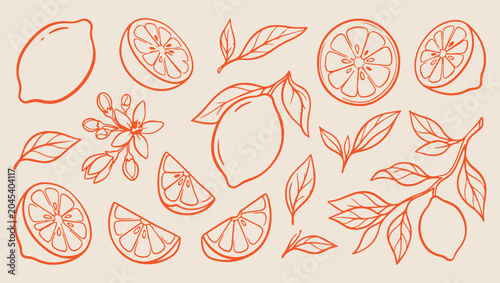 Εκτύπωση καμβά Lemon fruit branch pattern, clean monoline drawing, acidic citrus sketch, fresh