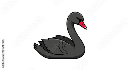 Fotografi Black swan bird animal illustration.