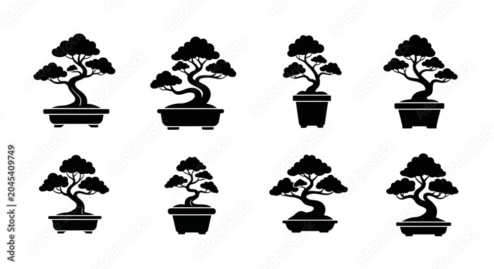 Obraz premium Bonsai Trees in Small Pots.
