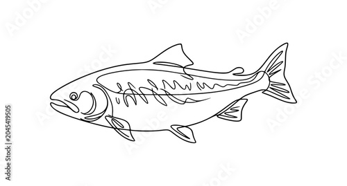 Elegant continuous line salmon fish sketch vector illustration isolated seafood art on white background