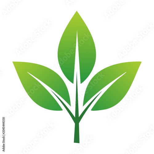 Green leaf icon with gradient on white background