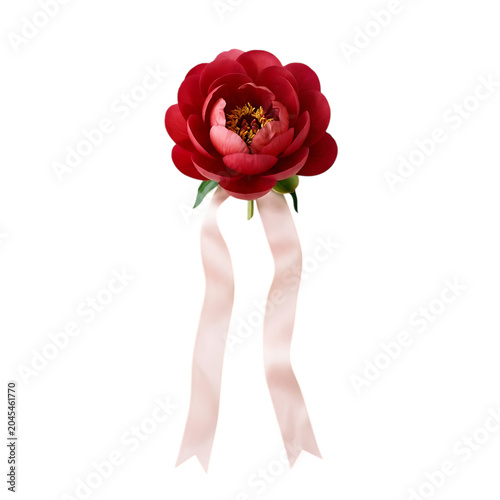 Red peony flower with pink ribbons on transparent background
