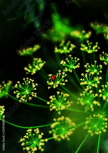 Canvas Print st patrick background