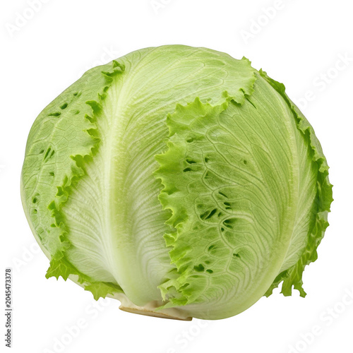 Fresh green cabbage isolated on transparent background
