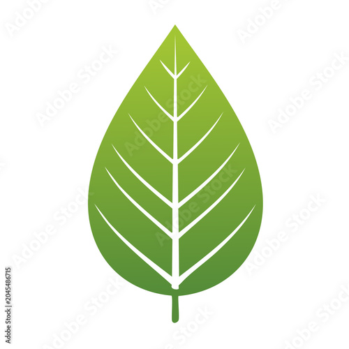 Green Leaf Icon