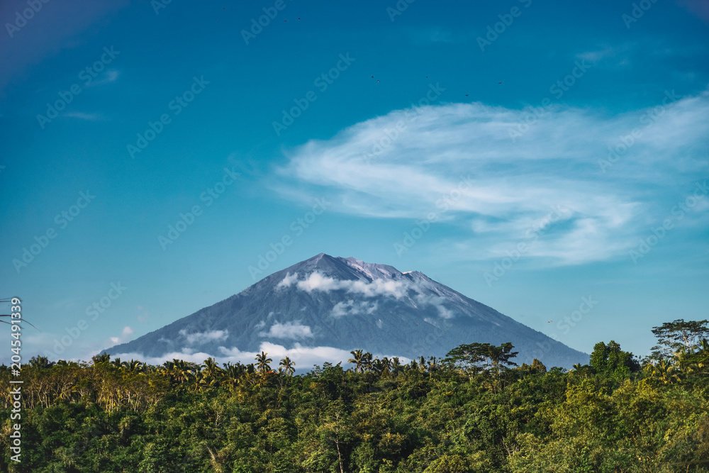 Fototapeta premium Majestic Mount Agung Volcano Landscape with Lush Green Forest in Bali