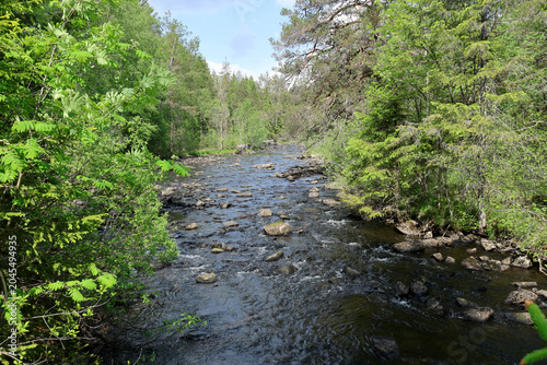 Canvas Print River