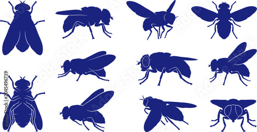 vector can editable The common housefly a detailed silhouette study of a ubiquitous insect