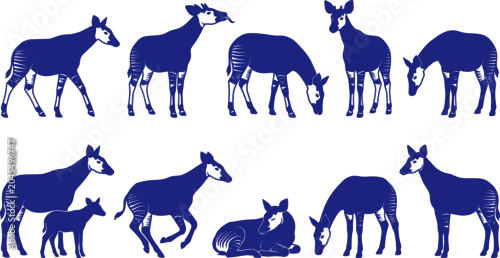 Fototapeta vector can editable The elusive okapi in a series of elegant silhouettes highlighting its giraffid features