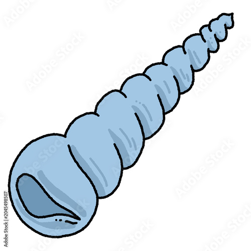 Photography Ocean Conch Shell Design Illustration