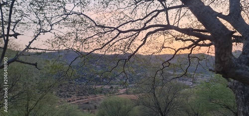 Tree Branches Overlooking a Mountain Valley Under a Soft Orange Sunset Sky
