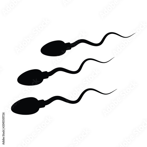 Sperm cells swimming