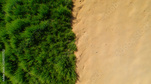 Aerial View Of Green Grass And Dry Soil With Diagonal Contrast