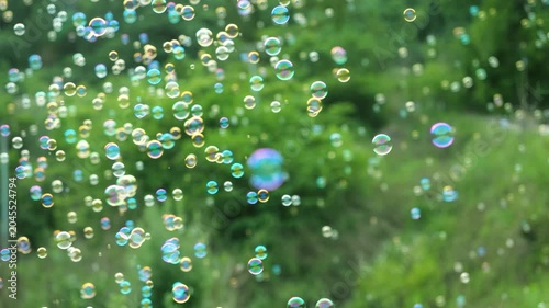 Colorful Soap Bubbles Floating in Green Nature Background