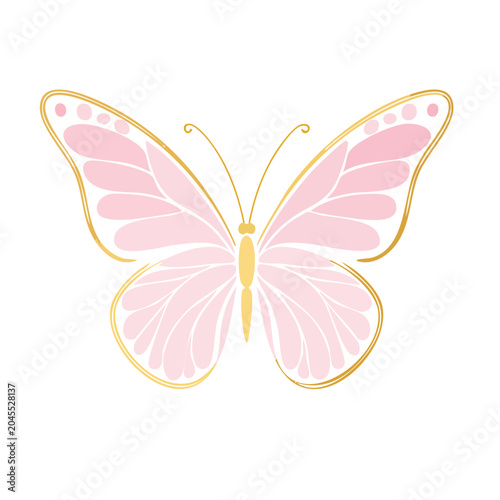 Pink and gold butterfly illustration