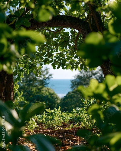Framed Ocean View Through Lush Green Foliage