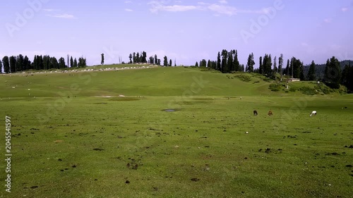 Doodpathri Budgam Tourist Destination in Kashmir 2026, Scenic Meadows, Rivers and Mountains