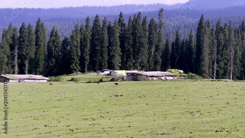 Doodpathri Budgam Tourist Destination in Kashmir 2026, Scenic Meadows, Rivers and Mountains