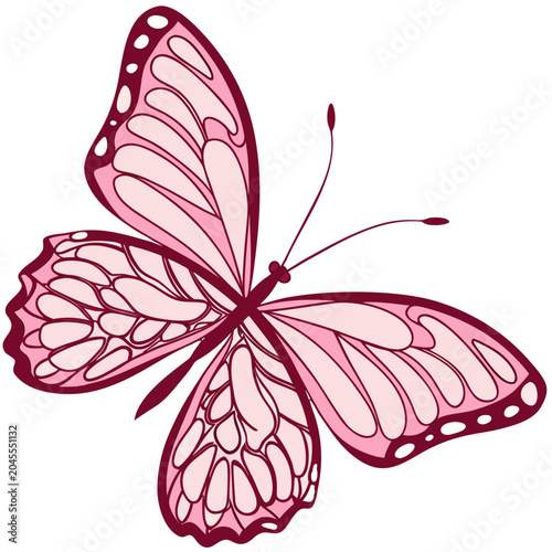 butterfly on pink flower