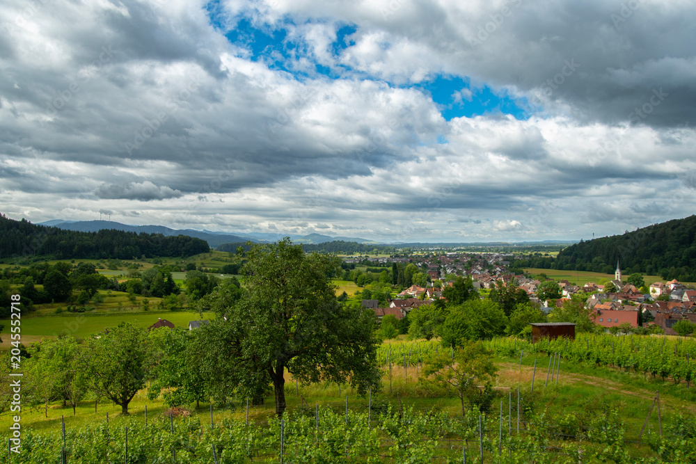 Obraz premium Landschaft bei Sexau im Schwarzwald