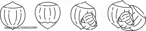Foto Hand Drawn Hazelnut Icons Set Vector Illustration, Healthy Nut Food and Organic