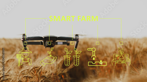 Tableau sur toile Exploring smart farm technology with drones in agricultural fields