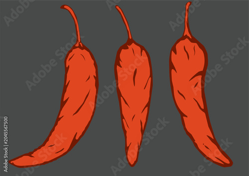 Photography Doodle Chili Illustration
