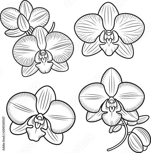 seamless pattern with white flowers