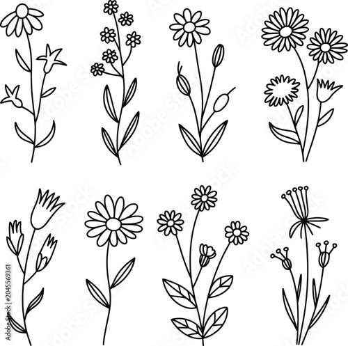 seamless floral pattern
