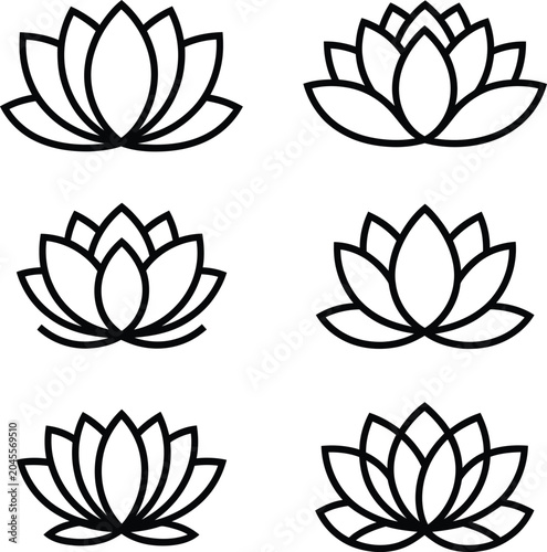 set of lotus flower