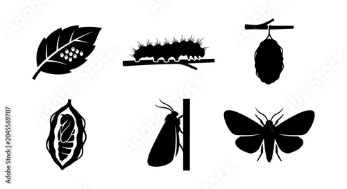 Quadro su tela Butterfly Life Cycle Icons: Egg, Larva, Pupa, Cocoon, Moth Stages Vector Set