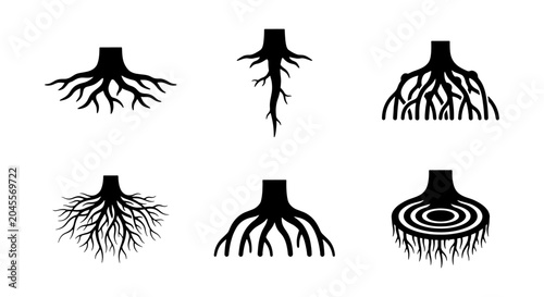 Canvastavla Tree Roots Vector Icons, Plant Systems, Organic Growth, Nature Elements