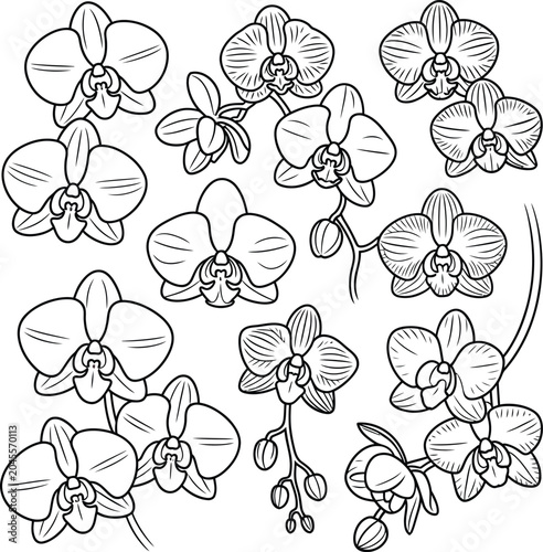 seamless floral background