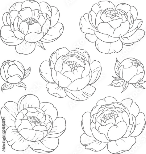 seamless pattern with roses