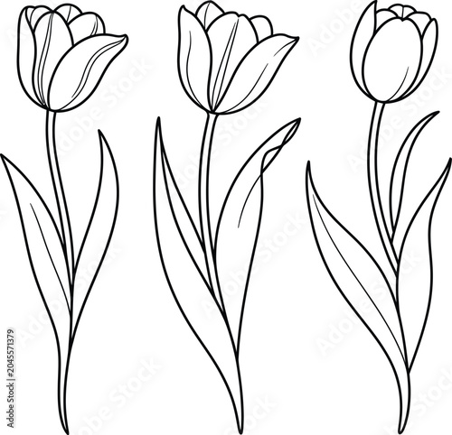 abstract floral background